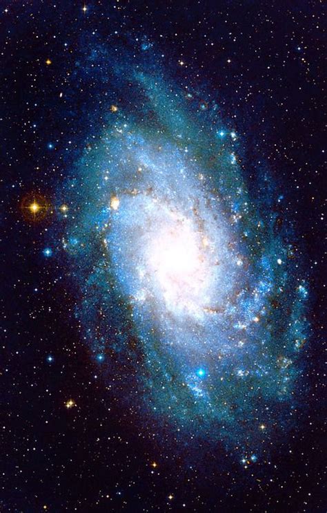 Ngc 598 The Triangulum Galaxy Triangulum Galaxy Galaxies Space And