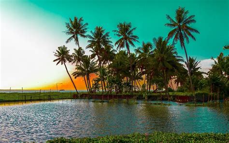 High quality stock images and images. landscape, Nature, Palm Trees, Beach, Sea, Water, Sunset ...
