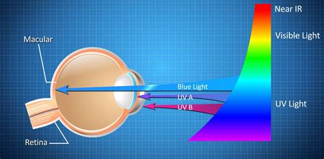 Blue Light Filter For Eye Care For Pc 💡👨‍💻 Iris Software For Eye