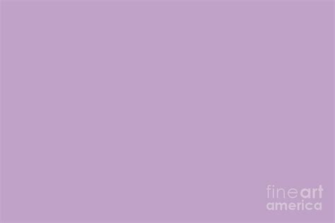 Ecstatic Lavender Purple Solid Color Pairs To Sherwin Williams Novel