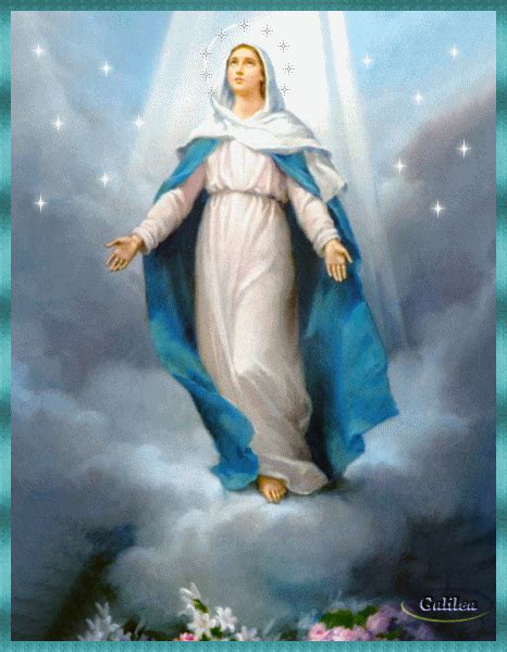 Este día coincide con los nueve meses antes del nacimiento de la virgen maría. Día de la Inmaculada Concepción de la Virgen María