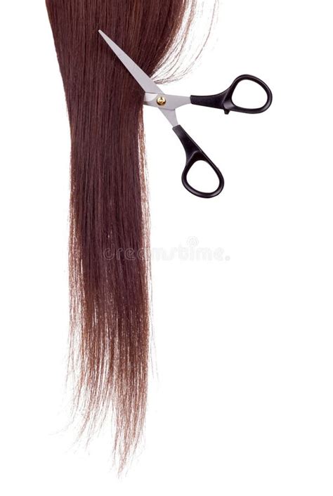 Scissors And Lock Of Hair Stock Image Image Of Beauty 52411237