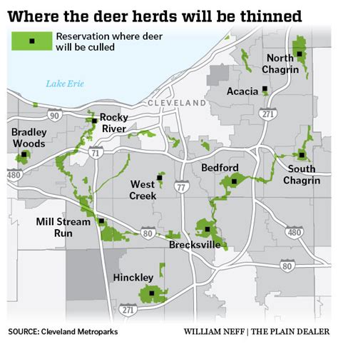 Cleveland Metroparks Resuming Deer Culling In 10 Reservations
