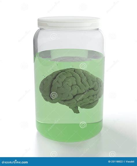 Brain In Jar With Liquid Stock Illustration Illustration Of Anatomy