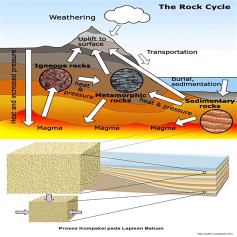 Batuan Sedimen Mengenal Proses Pembentukan Tekstur Dan Jenisnya Riset
