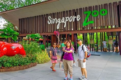 2024 Singapore Night Safari Ticket With Tram Ride
