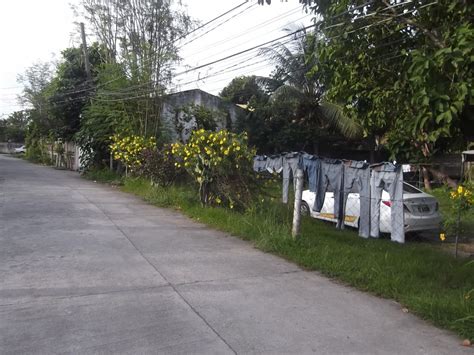 Beautiful harmony home for sale by owner. DUMAGUETE SUBDIVISION LOT FOR SALE - PhilX-Pat Real Estate
