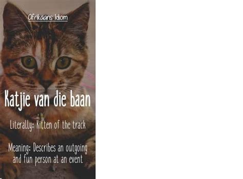 25 Best Afrikaans Idioms And Proverbs Ever With Images Za