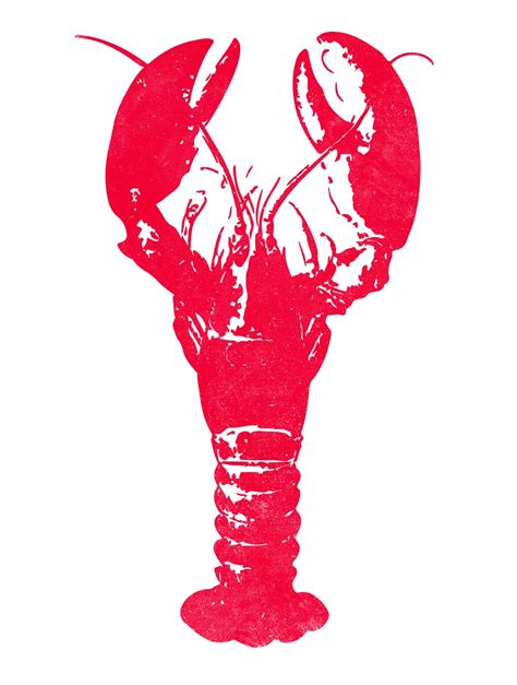 Vector Lobster Illustration Illustrations Creative Market