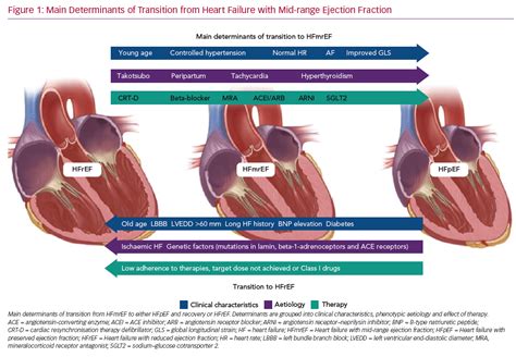 Main Determinants Of Transition From Heart Failure Radcliffe Vascular