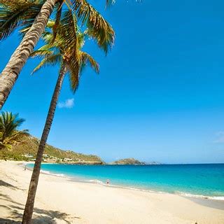 Caribbean Life , Caribbean Beach #paradis #summer #ousuisj… | Flickr