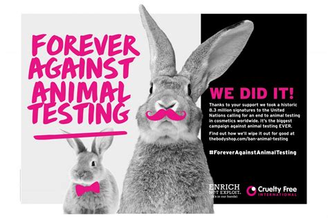 Forever Against Animal Testing 8 Million Signatures And 1 Mission