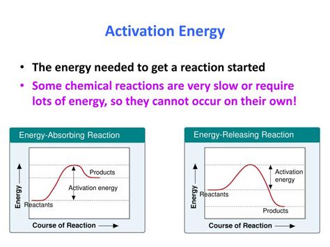 Ppt Chemical Reactions And Enzymes Powerpoint Presentation Free