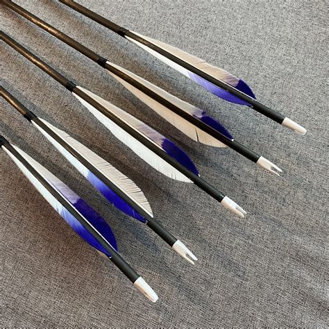 Alibow 100 Pure Carbon Arrows Archery Carbon Shaft Arrows Spine 300