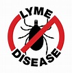 Lyme disease is a dangerous disease and it can be carried by ticks