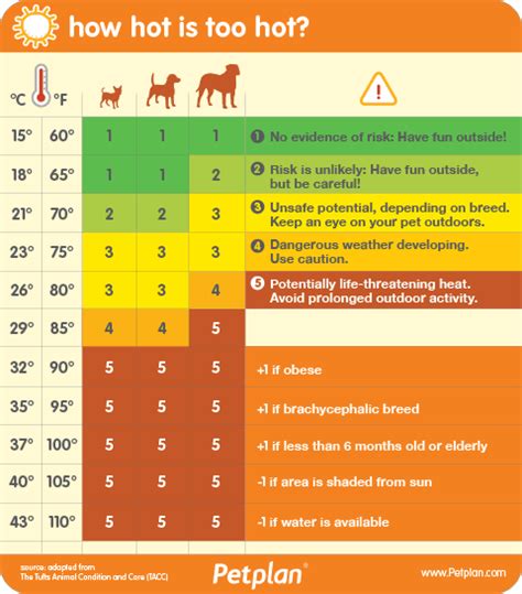Heat Stroke In Dogs How Hot Is Too Hot For Dogs