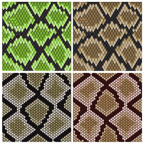 Seamless Snake Skin Patterns 11520149 Vector Art At Vecteezy