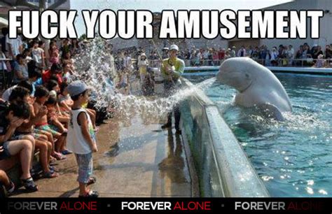 Sea World - Forever Alone : Forever Alone