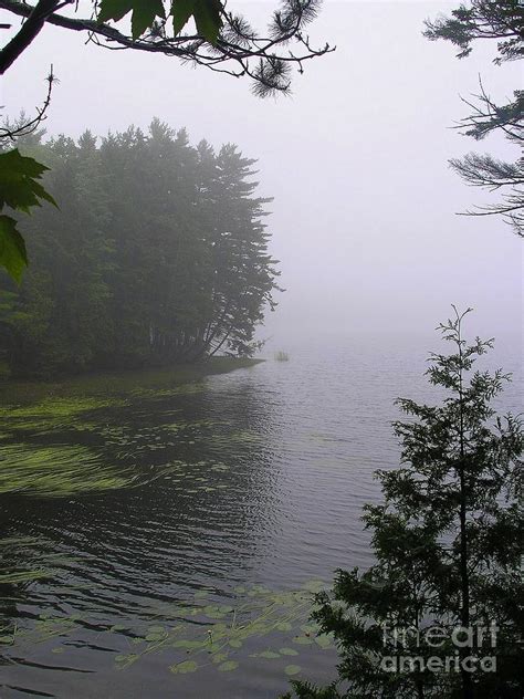 Rainy Foggy Day Photograph By Elizabeth Dow