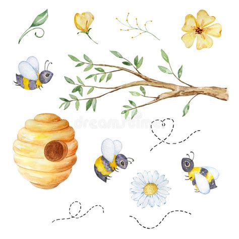 Watercolor Honey Set Tree Branch Beehive Flowers And Bees Stock