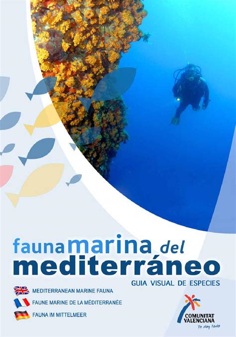 fauna mediterranea mediterranean fauna faune méditerranéenne mittelmeer tiere by nouhotel