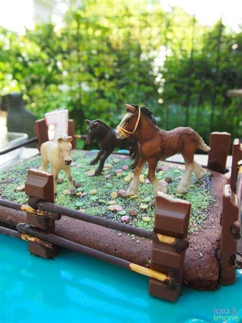Einladungen verschicken, geschenke einpacken, spiele vorbereiten… gut, wenn dann das kuchenbacken schnell geht. Pferde Kuchen für den Pferdegeburtstag - oder den ...