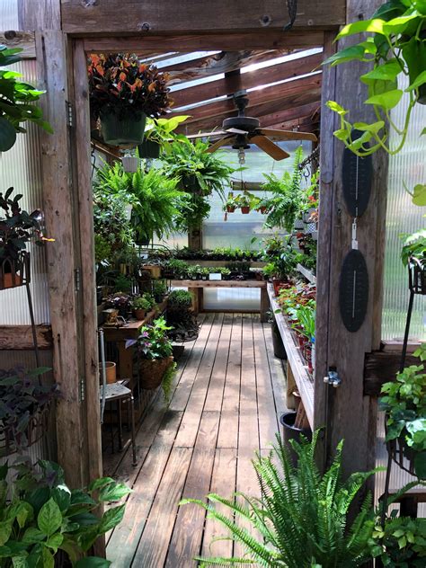 Little slice of heaven! : r/houseplants