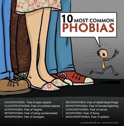 Interesting Facts About Phobias 24 Infographics