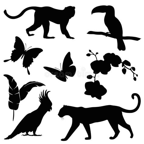 Vector Set Of Animals Silhouette Stock Vector Illustration Of