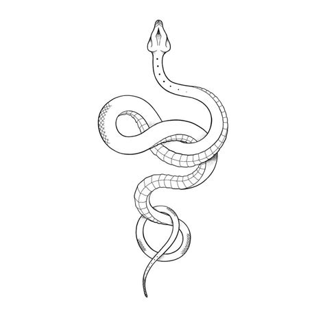 Snake Tattoo Design Drawing Deon Wisniewski