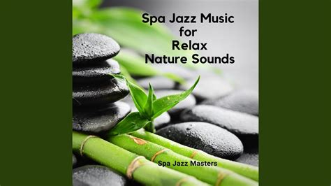 Nature Sounds Relaxing Jazz Music Spa Jazz Music Youtube