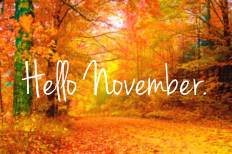 Saline Audiology Welcome November