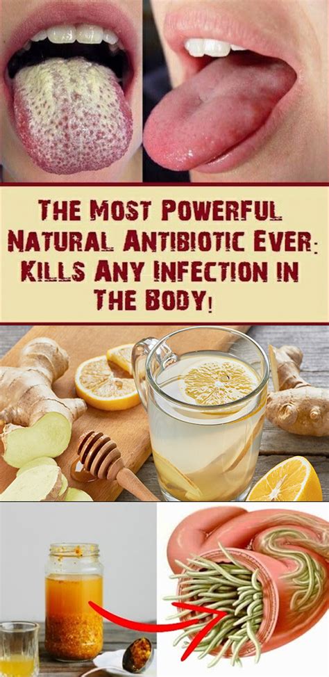 The Most Powerful Natural Antibiotics That You Can Make At Home