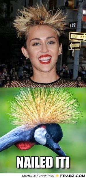 Nailed It Meme 010 Miley Cyrus Bird Hair Comics And Memes