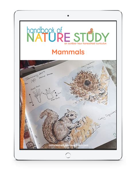 The Ultimate List of Mammals Homeschool Nature Study Using the Outdoor