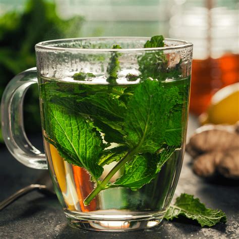 Easy Fresh Mint Tea Hot Or Iced The Peasant S Daughter