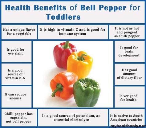 5 Impressive Health Benefits Of Bell Peppers My Health Only