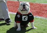 Pictures of Uga Ranking