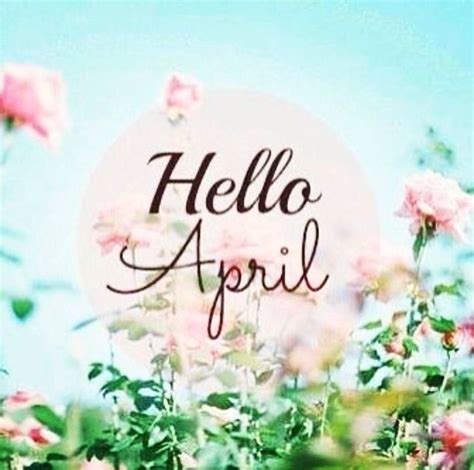 75 Hello April Quotes And Sayings April Quotes Hello April Months In