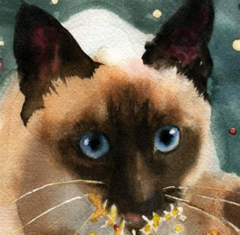 Christmas Siamese Cat Art Print Of A Watercolor Painting Big Etsy