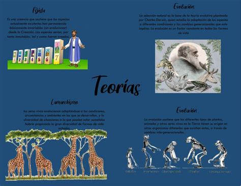 Mapa Conceptual De La Teoria De La Evolucion Actualizado Julio My XXX