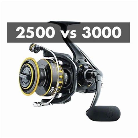 Daiwa BG 2500 Vs 3000 4 Key Differences Tackle Critic