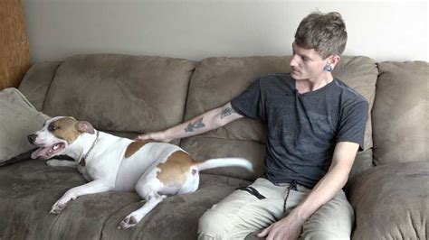 He Saved Us Man Says His Pit Bull Rescued Him From 5 Attackers Who