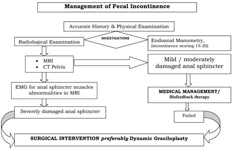 Medical And Surgical Management Of Fecal Incontinence After Repair Of Hot Sex Picture