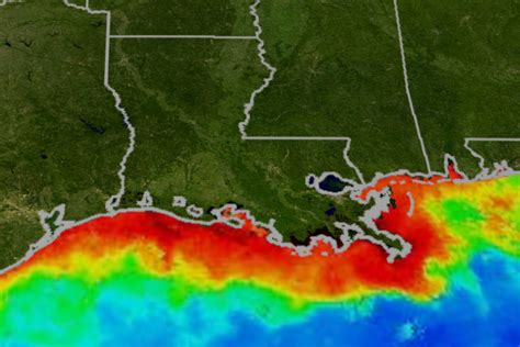 Largest Ever Gulf Dead Zone Reveals Stark Impacts Of Industrial