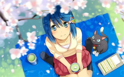Hd Wallpaper Kisaragi Chihaya Brown Eyes Blue Hair Stomach Anime Anime