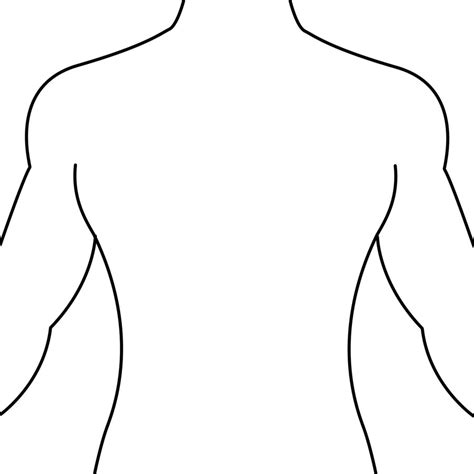 Body Outline Diagram Clipart Best