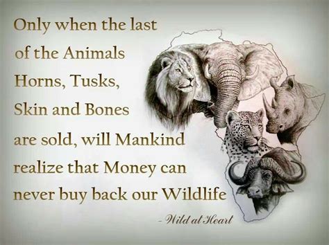 Quotes About Save Animals 36 Quotes