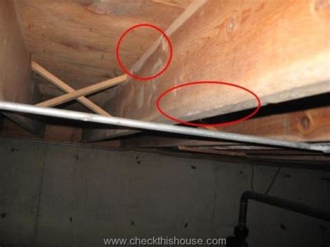 Crawlspace Mold Ventilation And Insulation Checkthishouse
