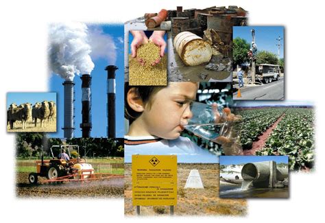 Causes And Effects Of Natural Resources Misuse Environmental Problems